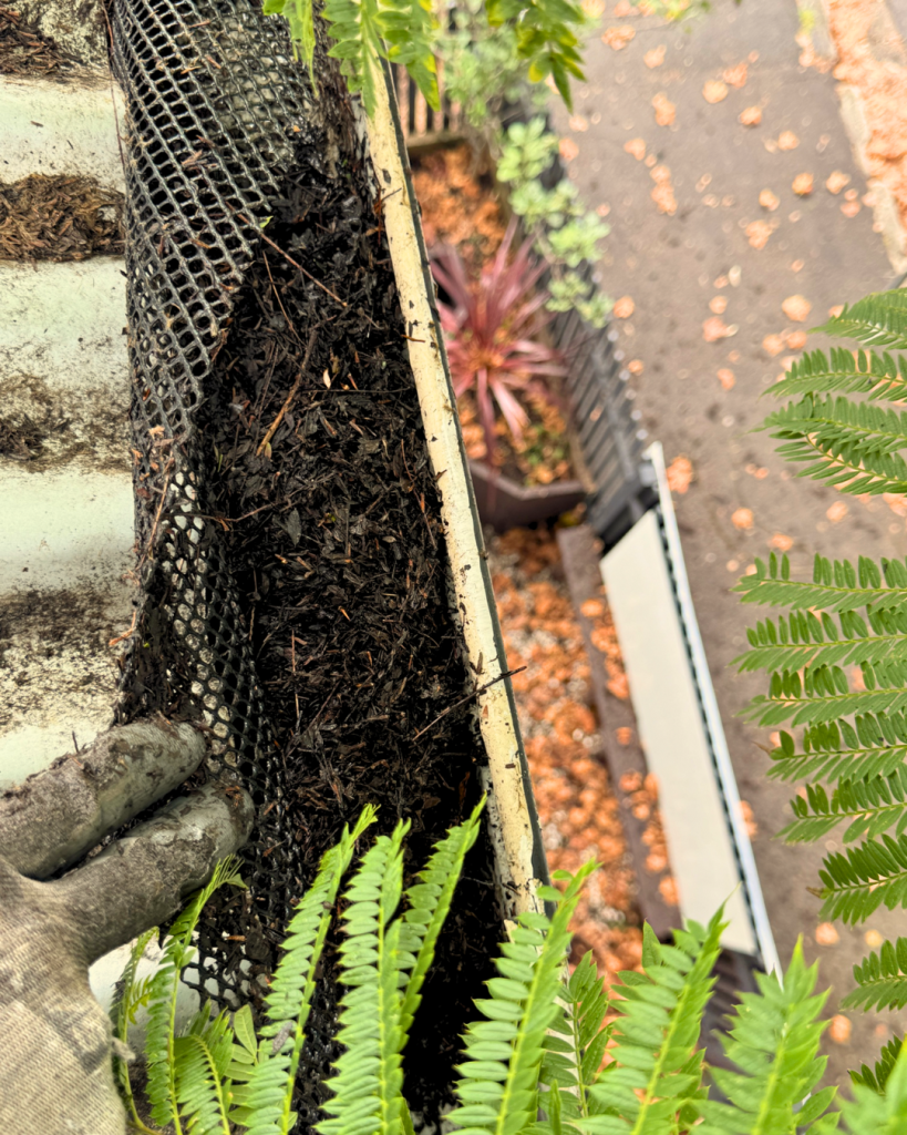 Gutter guard lifted to show soil buildup beneath