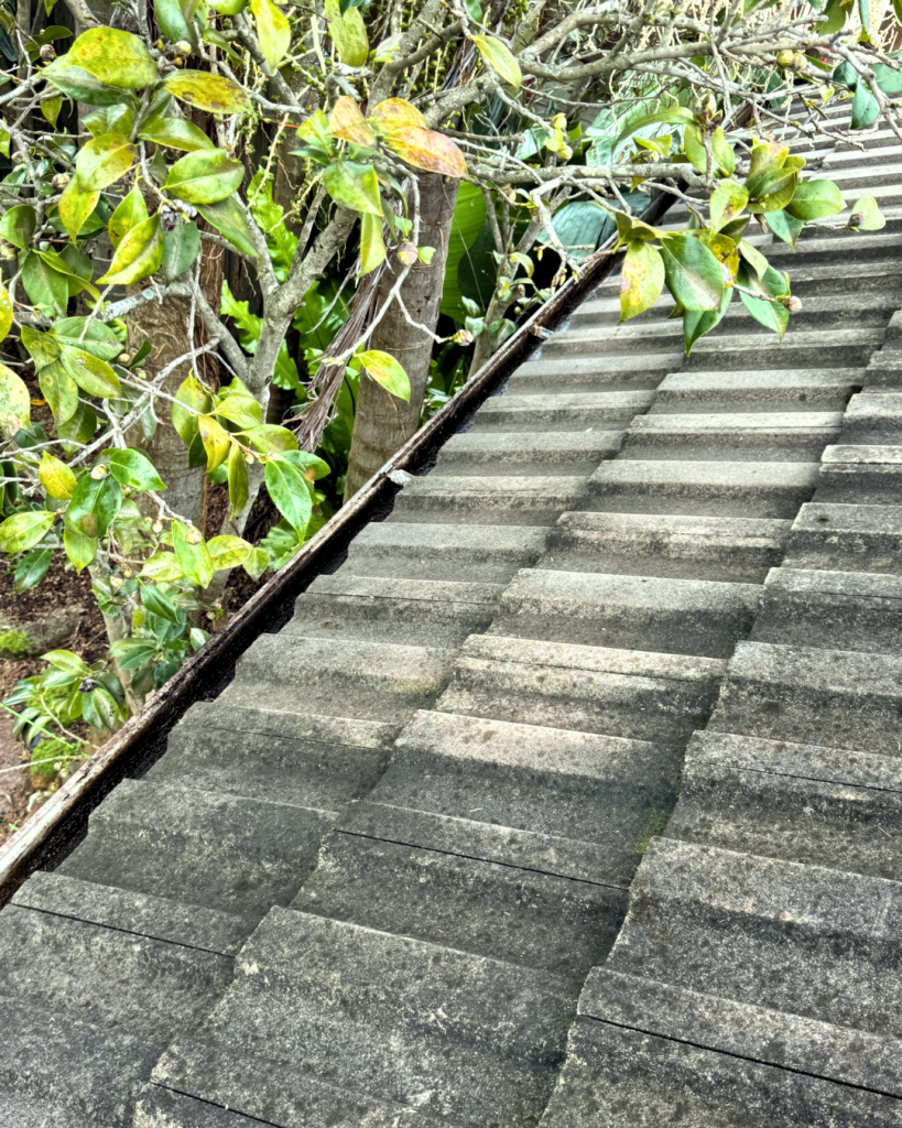 Tree branches hanging over a tiled roof, risking gutter blockages and roof damage.