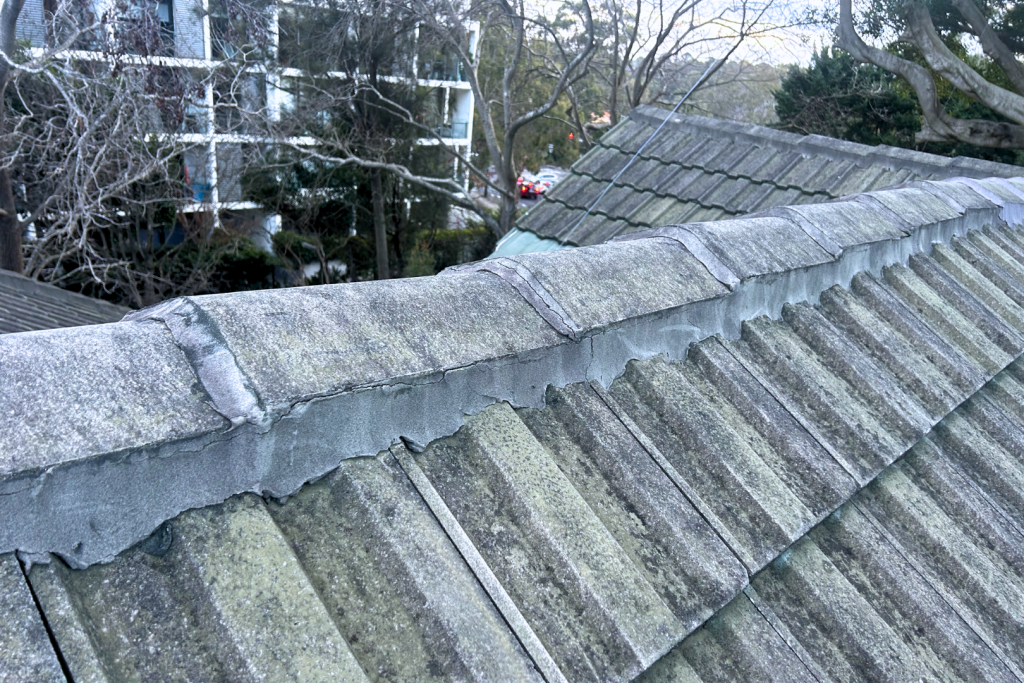 Repointed roof ridge