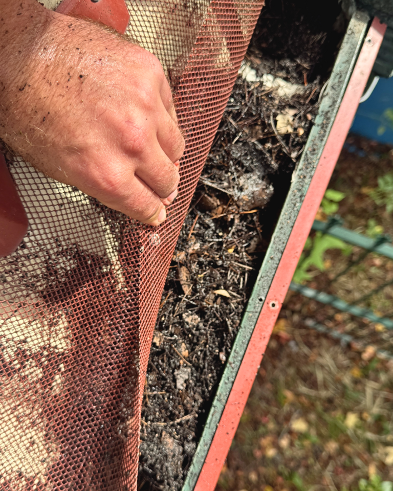 Hand lifting clogged red gutter mesh