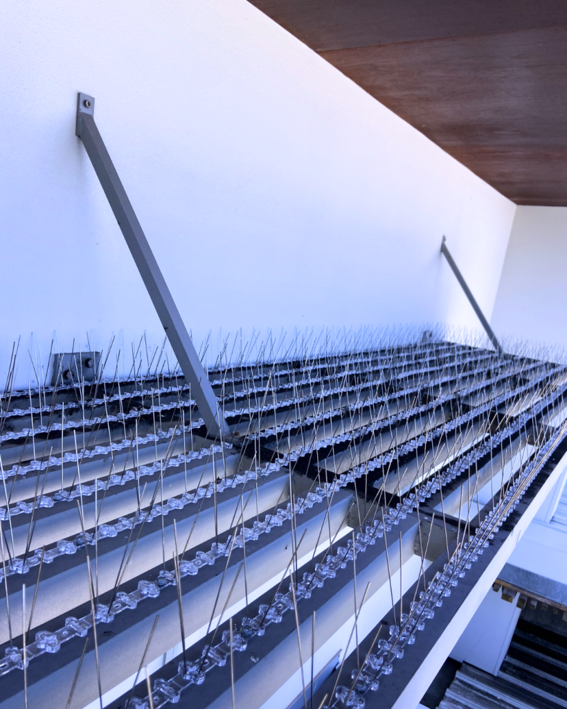 Close-up of dense bird spike array on steel beam