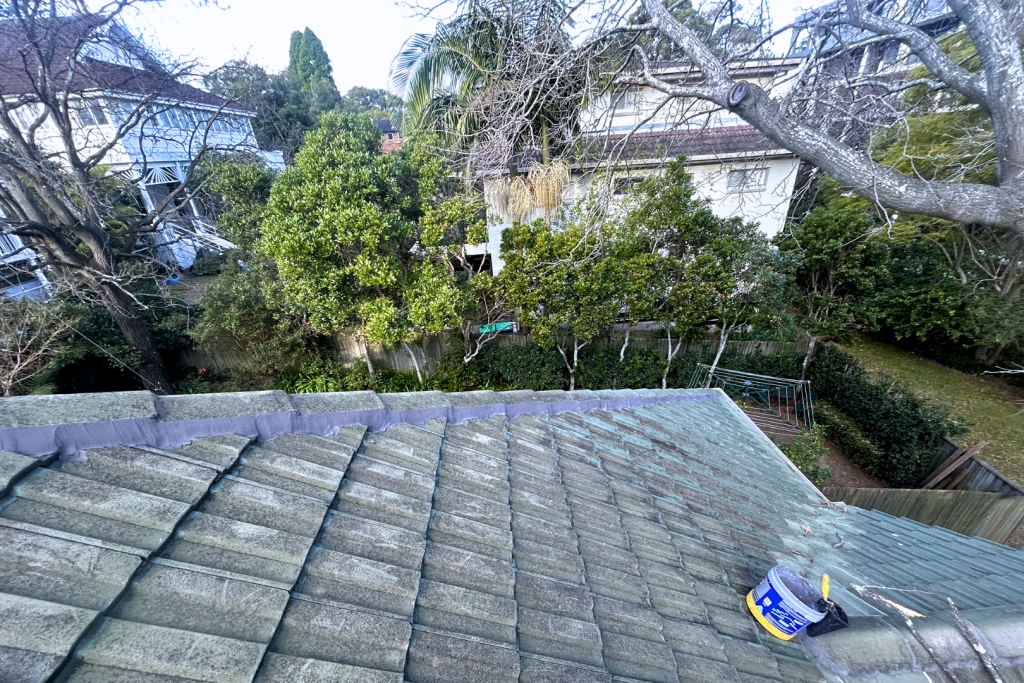 Newly repointed roof