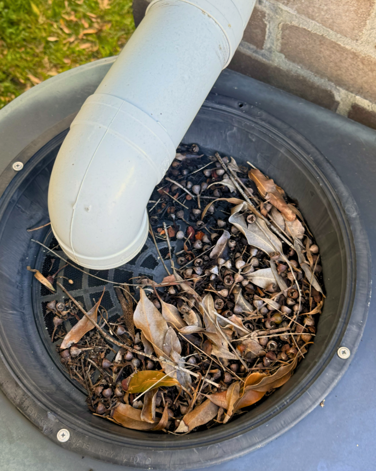 Leaf-clogged rainwater diverter under downpipe