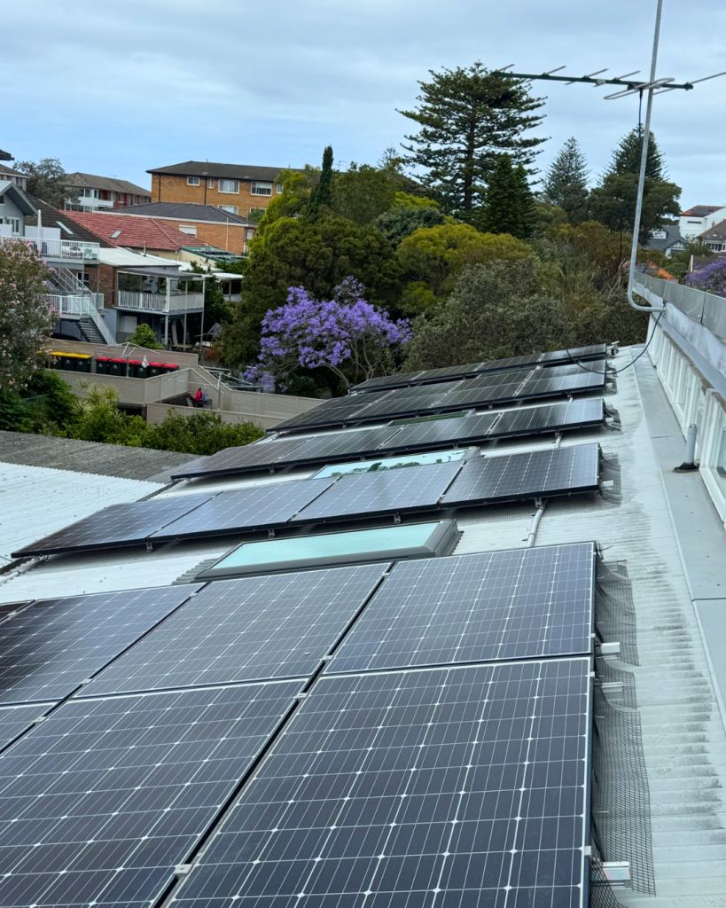 Full rooftop view of solar panels freshly cleaned