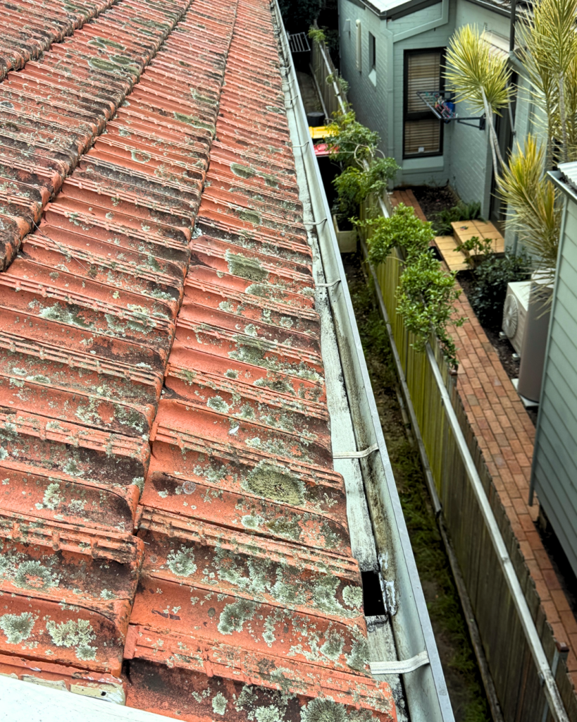 Red tiled roof covered in lichen along gutter edge.