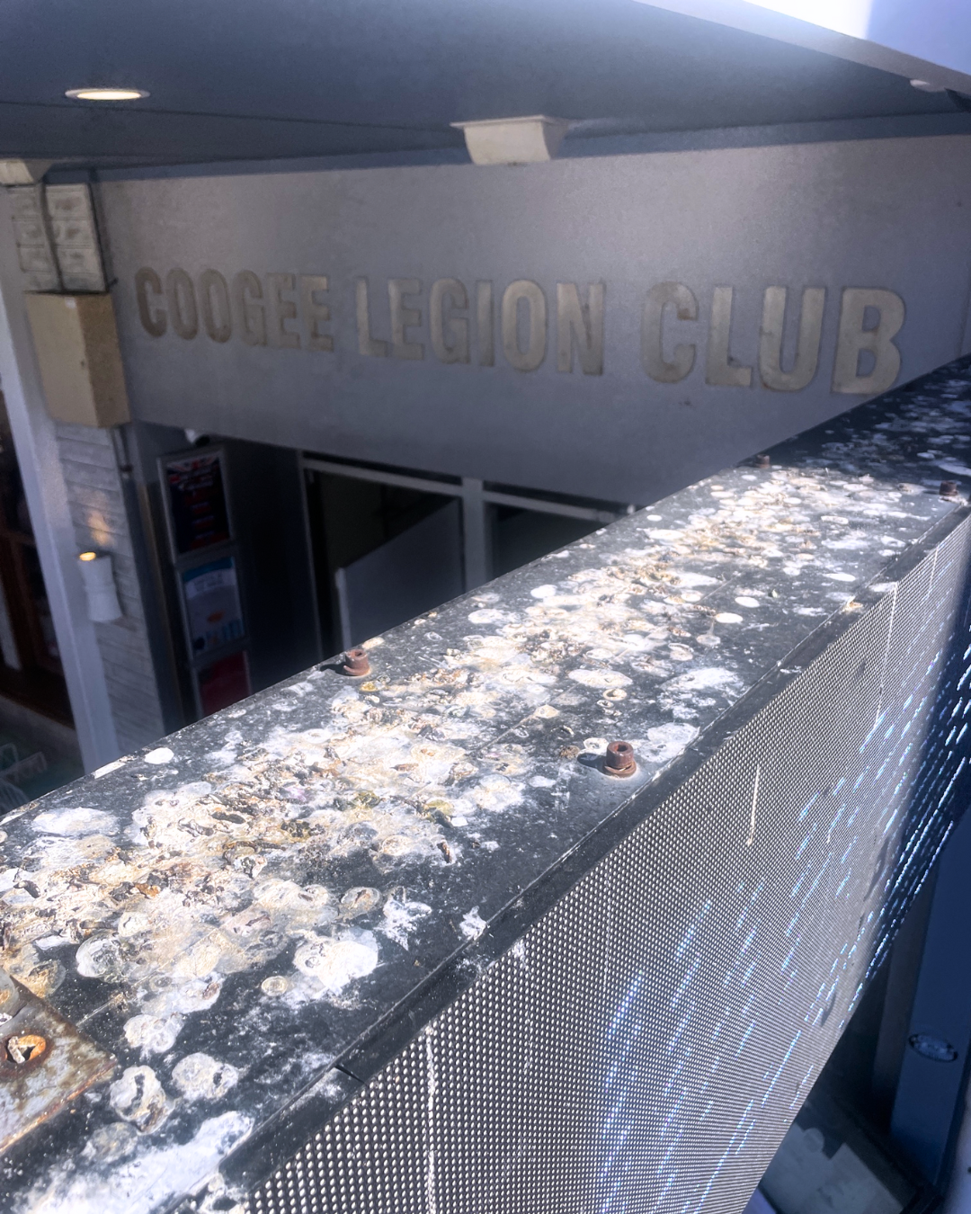 Heavy bird droppings buildup on signage frame